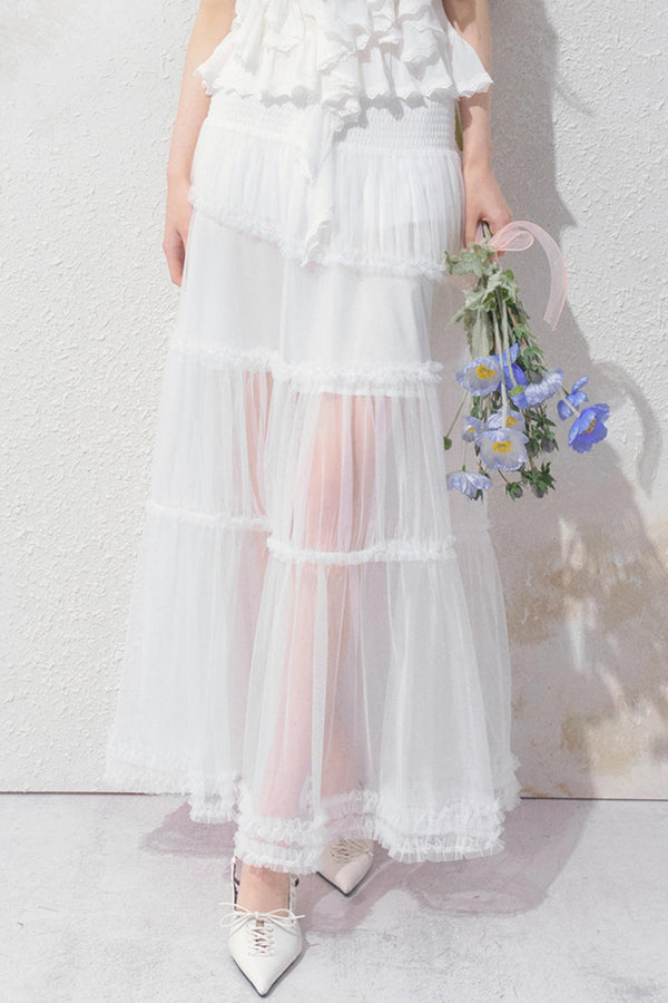 Sheer Elegance Long Skirt