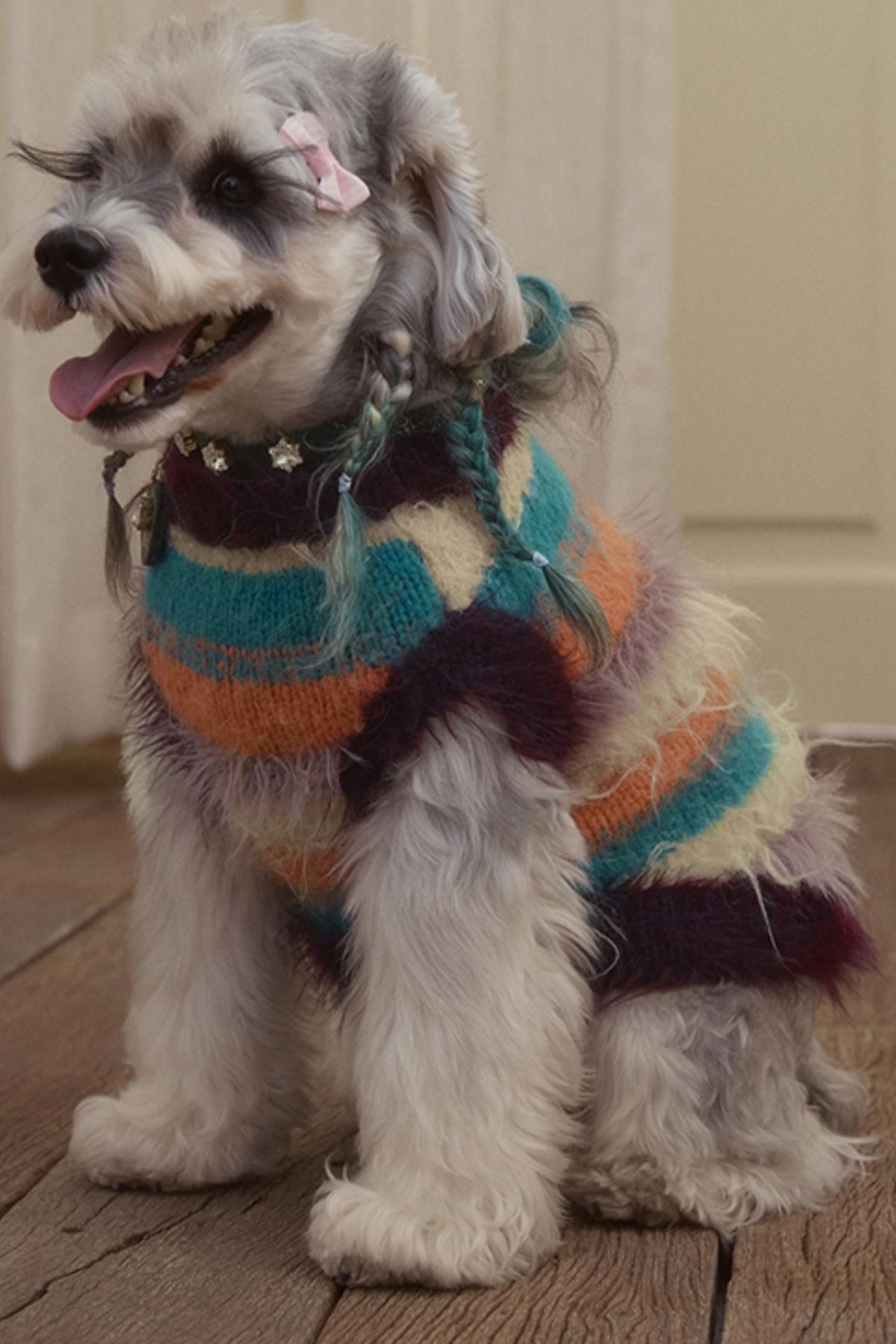 Family Match Striped Sweater