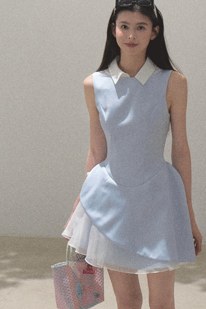 Stunning Choker-Style Saree Dress