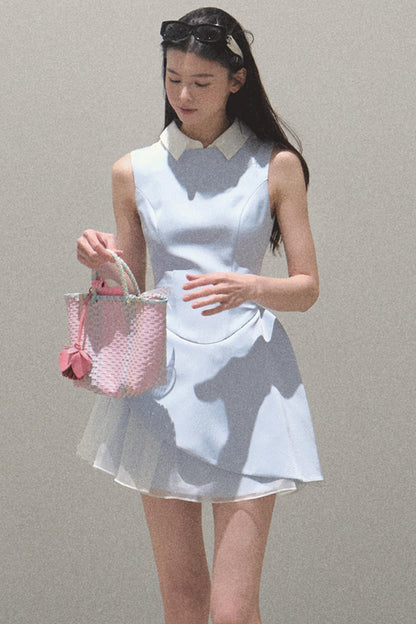 Stunning Choker-Style Saree Dress