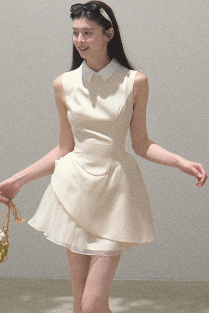 Stunning Choker-Style Saree Dress