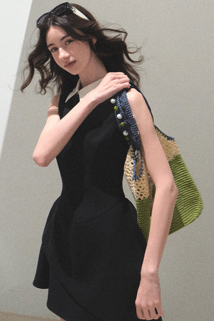 Stunning Choker-Style Saree Dress