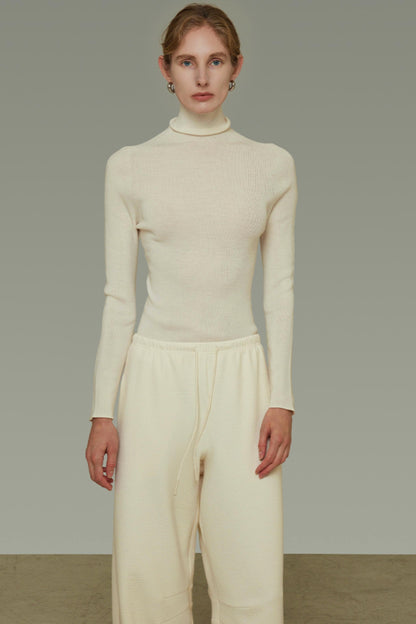 Autumn Wool Turtleneck Sweater