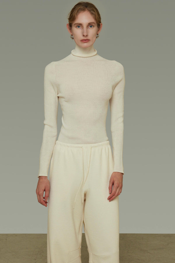 Autumn Wool Turtleneck Sweater