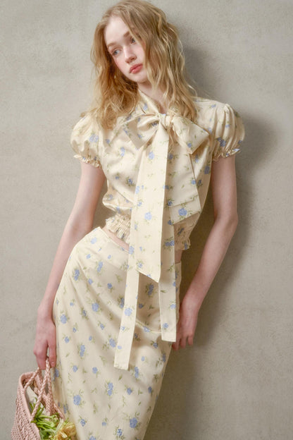 Elegant Lace Skirt Shirt Set-Up