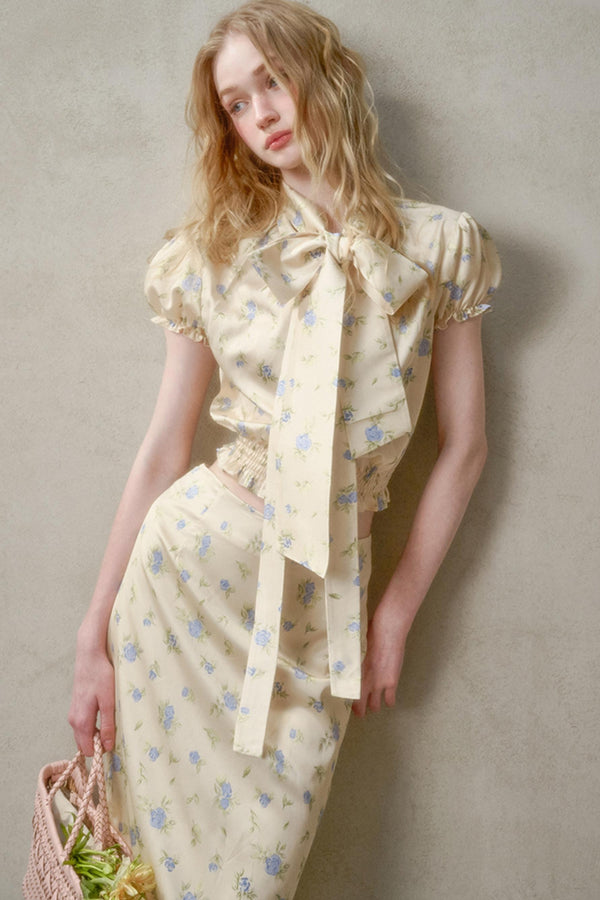 Elegant Lace Skirt Shirt Set-Up