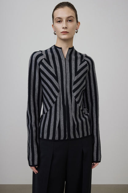 Striped Knit High Neck Jacket