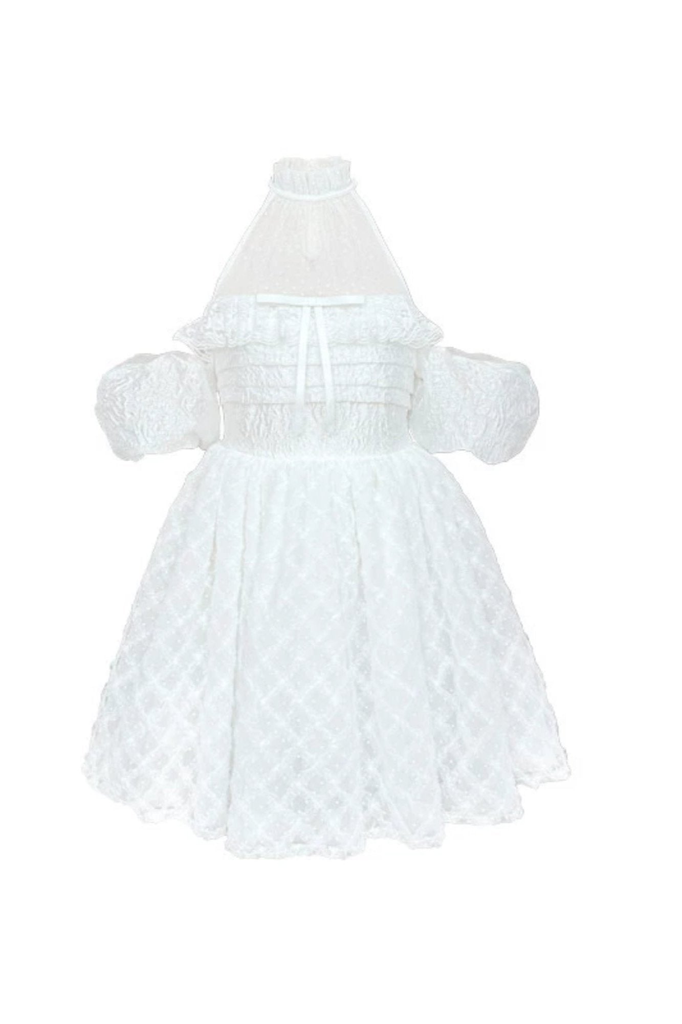 Pure White Mesh Halterneck Dress