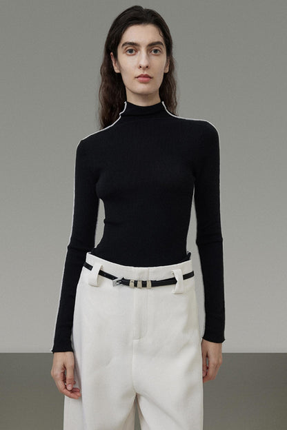 Slim Fit Knit Turtleneck Top