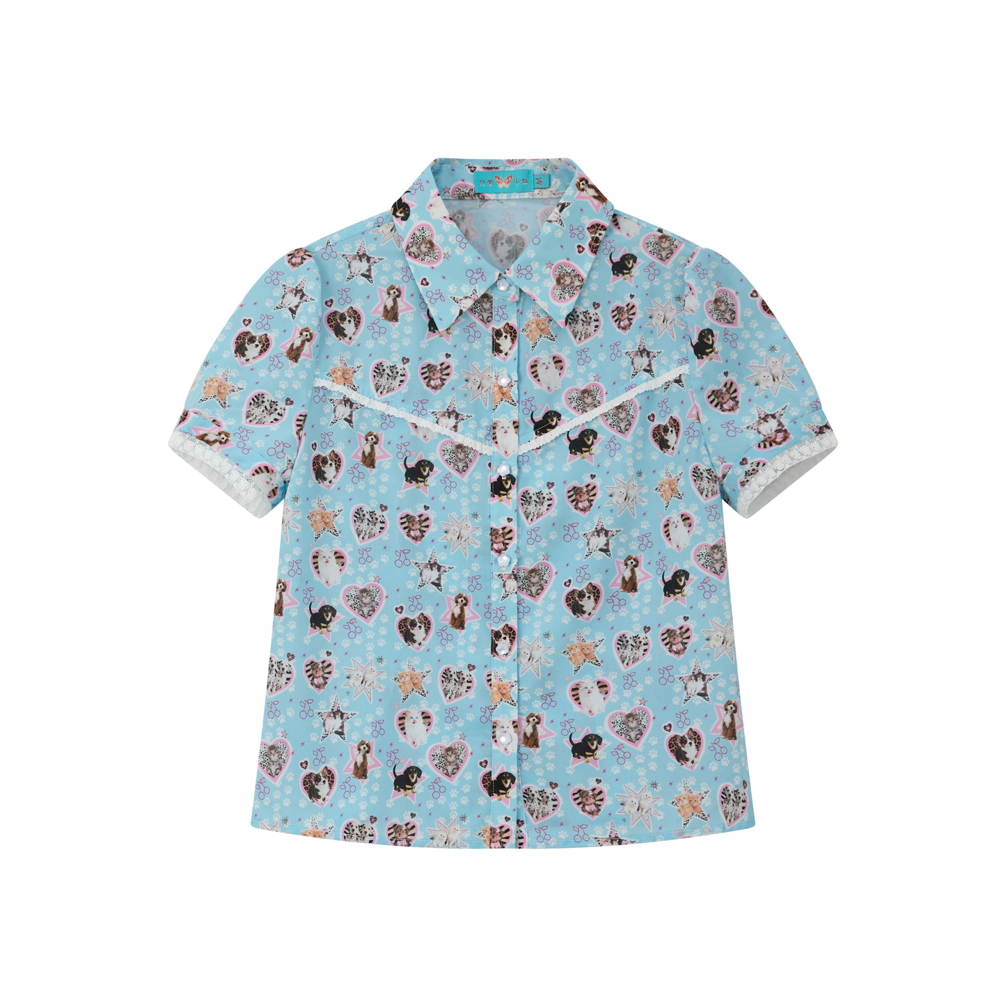 Soft Dream Lace Blouse