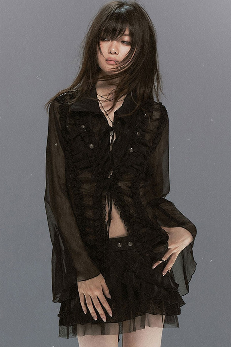 Sheer Chiffon Lace Blouse