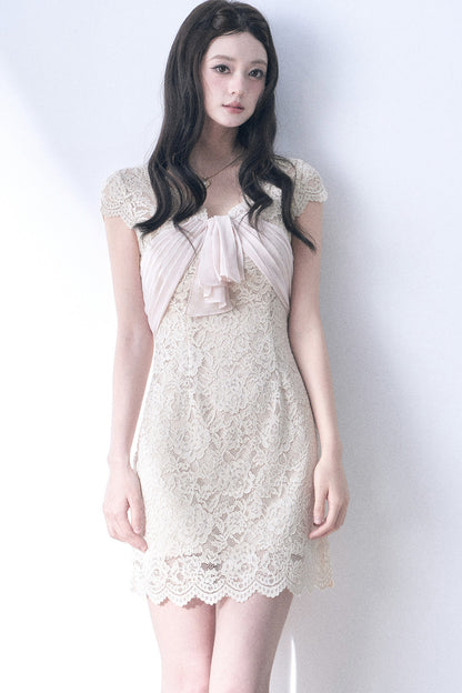 Elastic Lace Waist-Cinching Dress