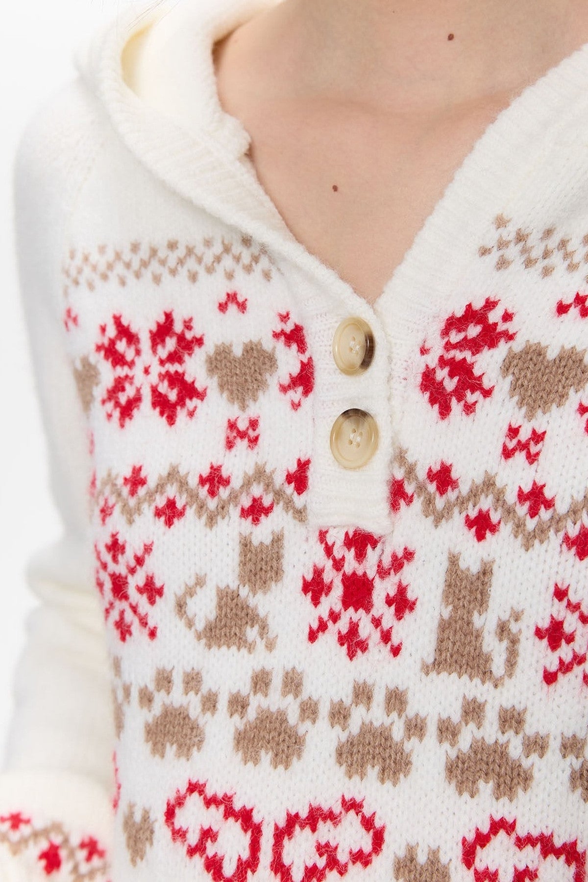 Fair Isle Knit Hoodie