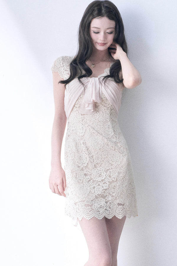 Elastic Lace Waist-Cinching Dress