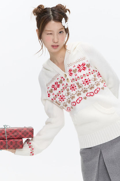 Fair Isle Knit Hoodie