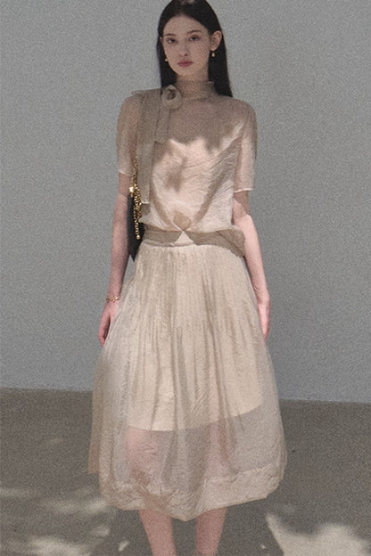 Short-Sleeved Chiffon Blouse and Pleated Mesh Skirt Set-Up