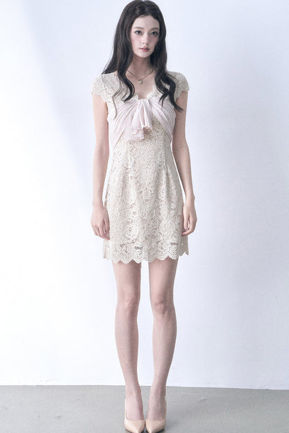Elastic Lace Waist-Cinching Dress