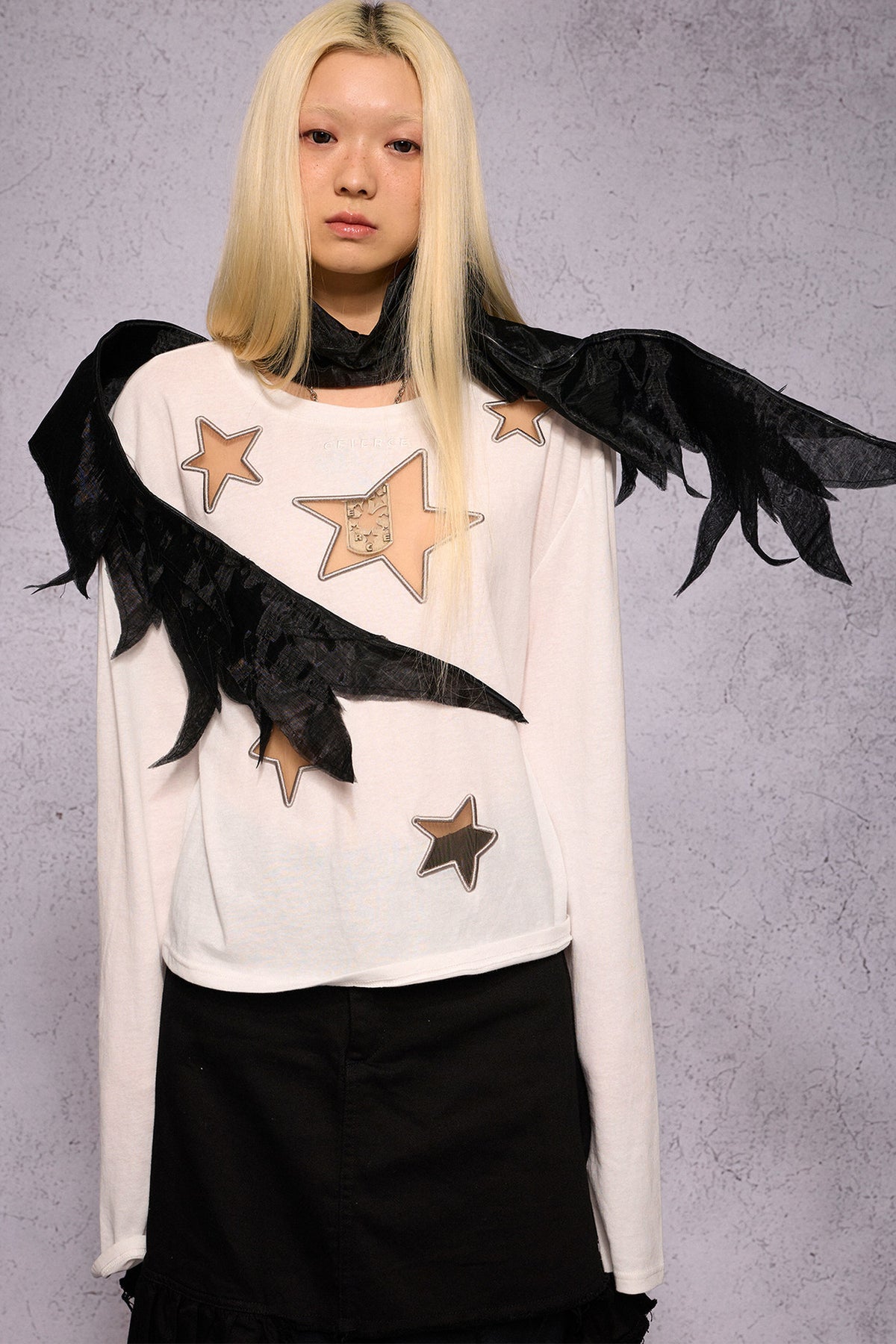 Star Hollow Mesh Embroidery Long-Sleeved Top