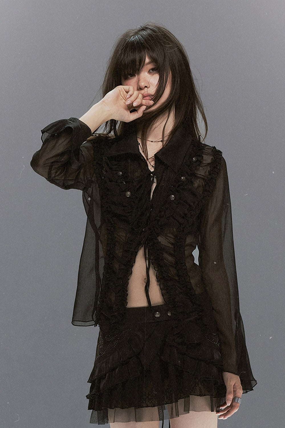 Sheer Chiffon Lace Blouse