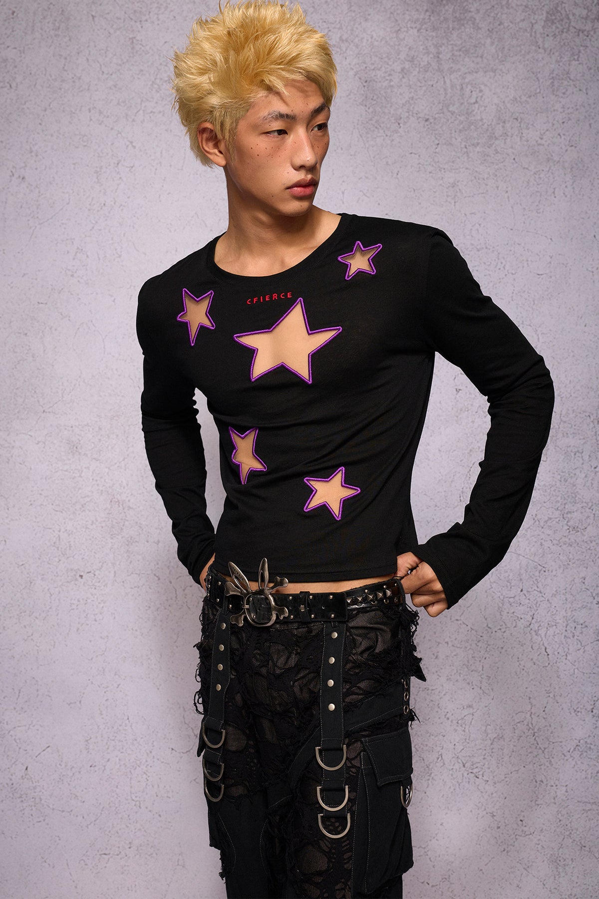 Star Hollow Mesh Embroidery Long-Sleeved Top