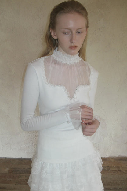 Mesh Ruffle Sleeve Knit Top