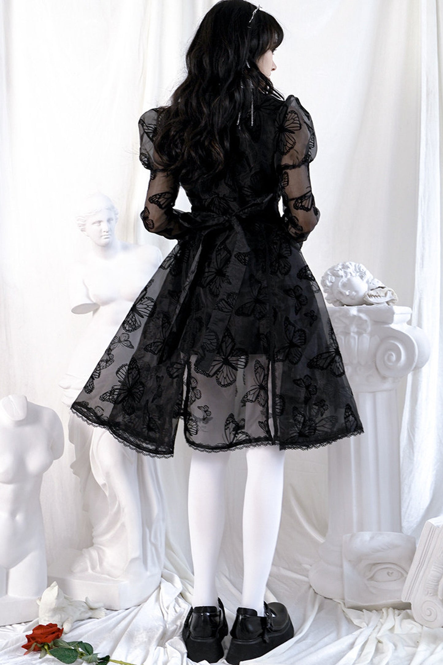 Butterfly Lace Princess Dress