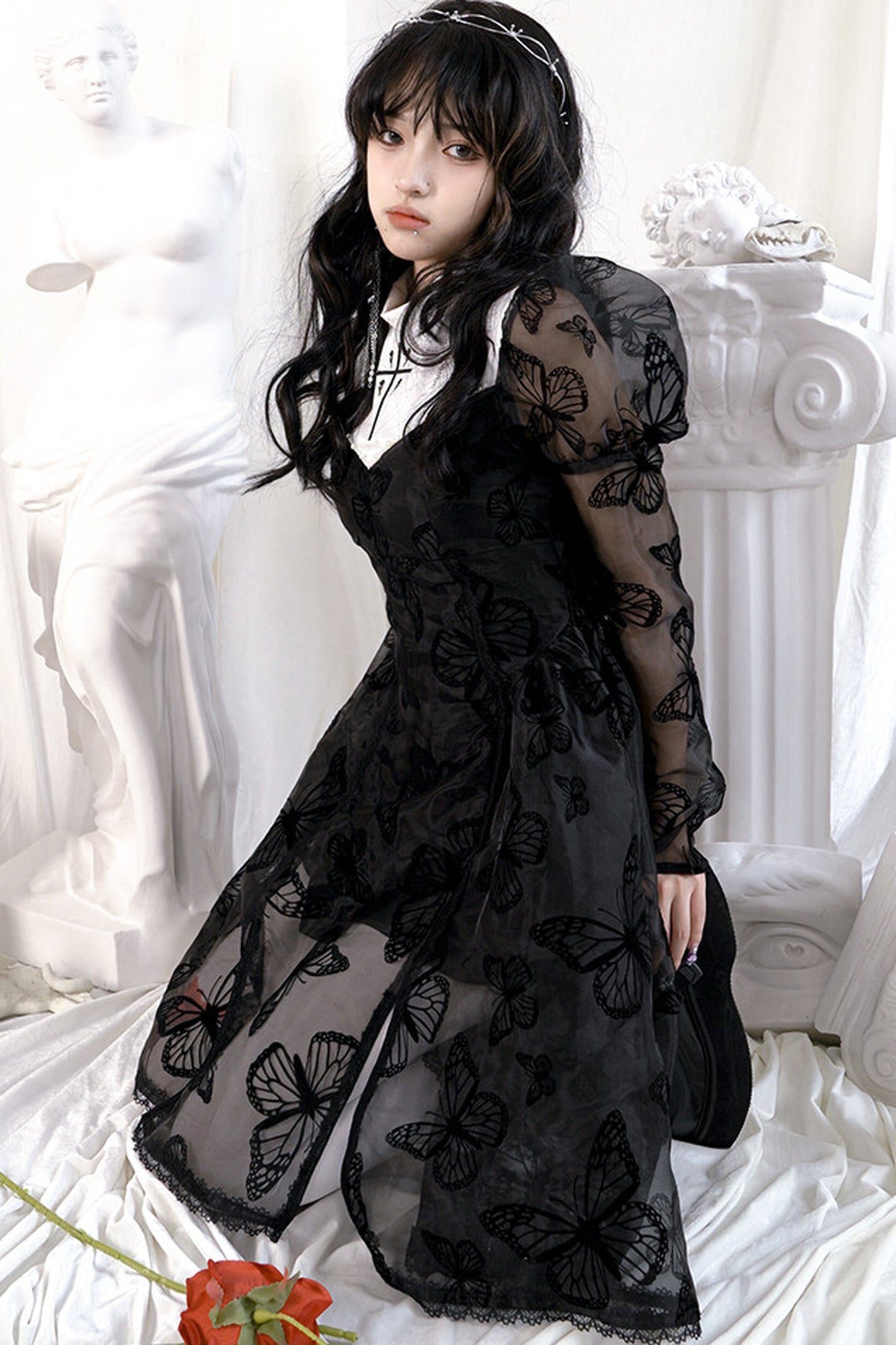 Butterfly Lace Princess Dress