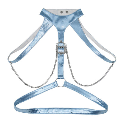 Blue Chain Strap Shoulder Accessory Set-Up