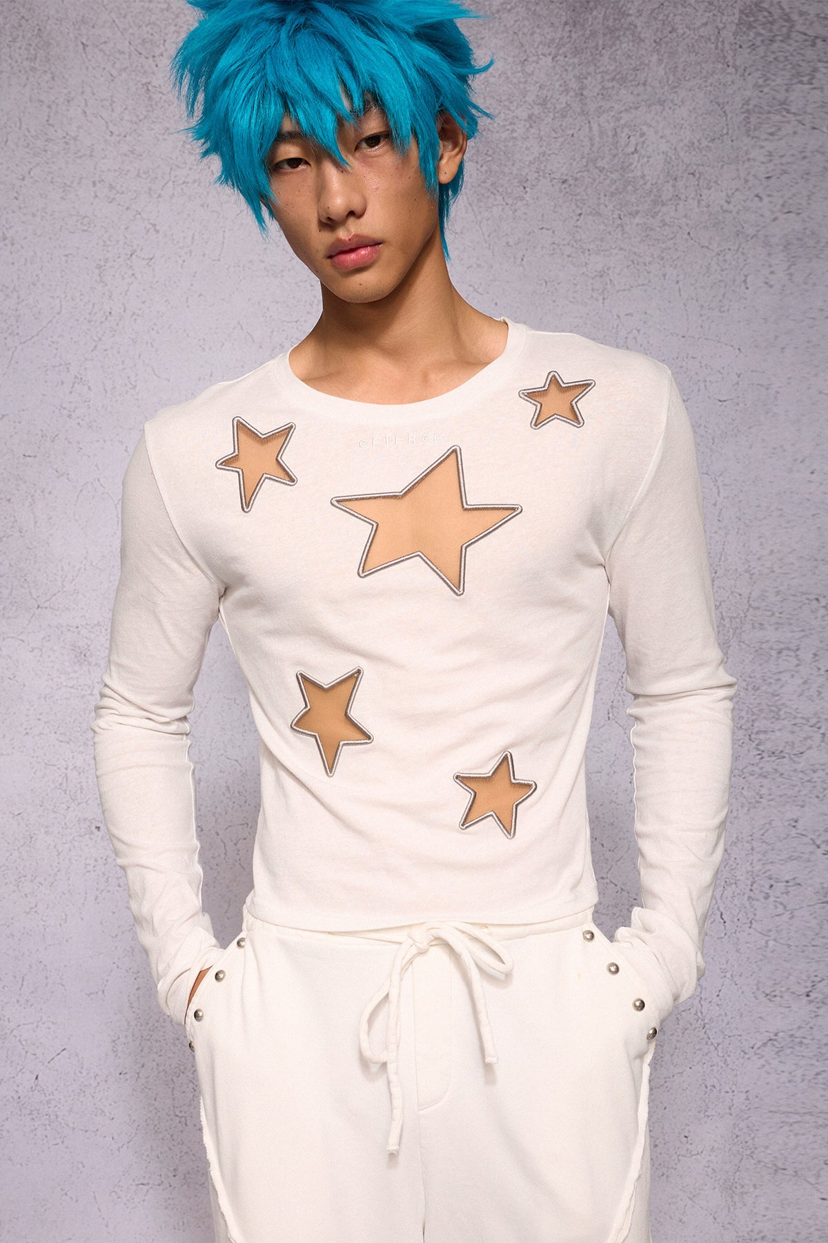 Star Hollow Mesh Embroidery Long-Sleeved Top
