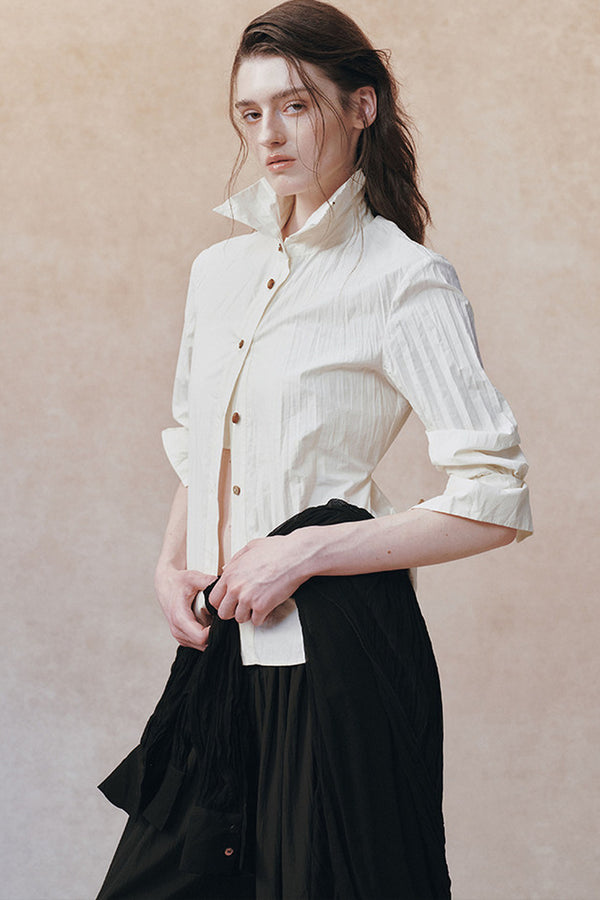 3D Pleated Stand Collar Shirt and Skirt Set-Up