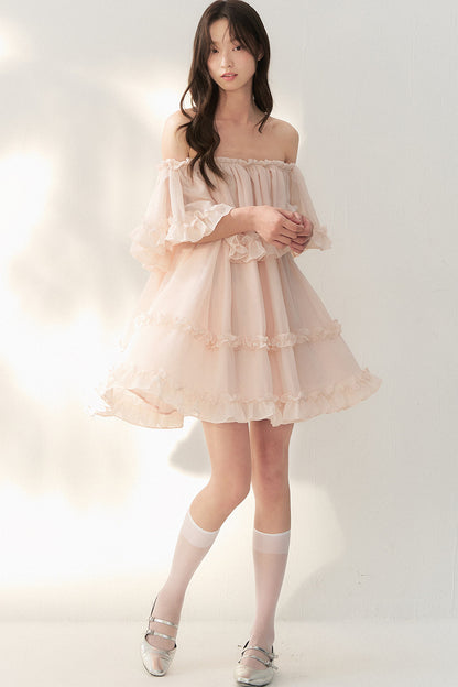 One-Shoulder Smoky Pink Tulle Lace Dress