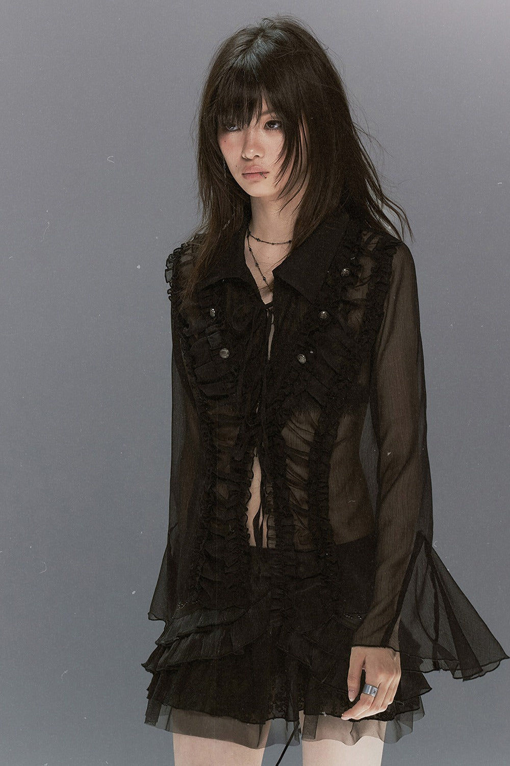 Sheer Chiffon Lace Blouse