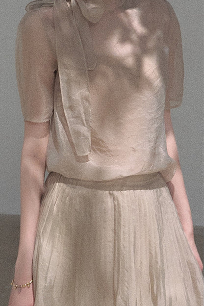Short-Sleeved Chiffon Blouse and Pleated Mesh Skirt Set-Up