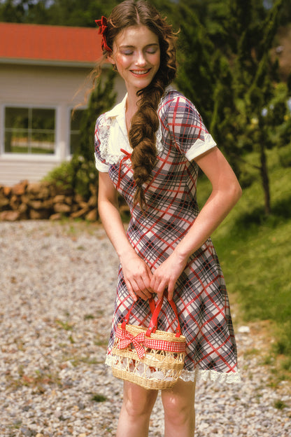 Plaid Contrast Lapel Dress