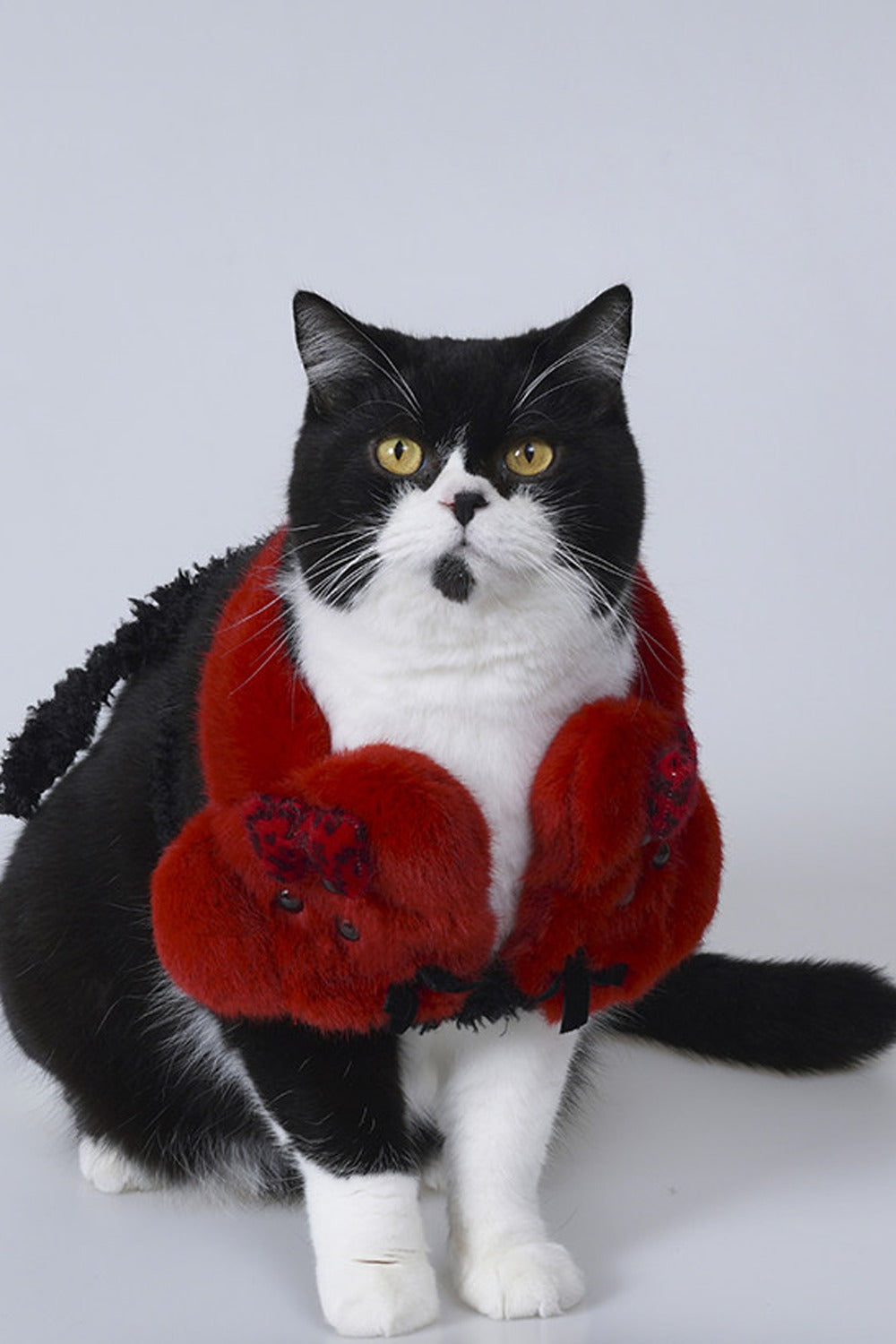 Red Plush Puppy Earmuff Scarf