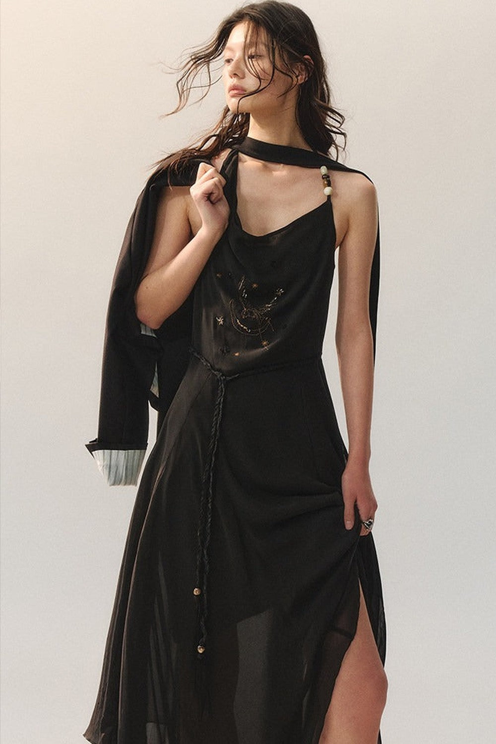Moon Shadow Embroidered Dress