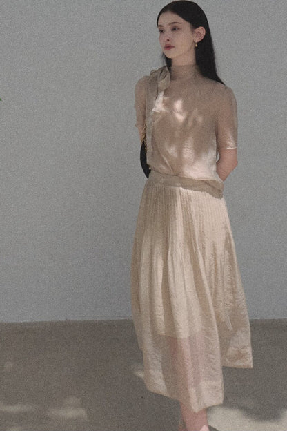 Short-Sleeved Chiffon Blouse and Pleated Mesh Skirt Set-Up